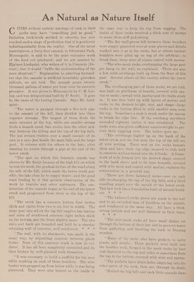 1920-07-32-page20